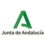 Programa de Seguridad Vial 2024-2026 de la Red de Carreteras Auton�mica de Andaluc�a